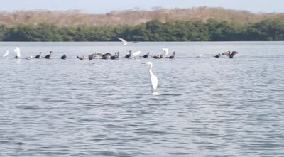 Cartagena Fishing, Crabbing, Birdwatching Experience + Lunch - The 4-hour flow: start any time from 7 AM to 3 PM