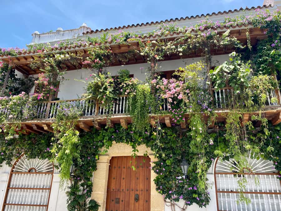Cartagena: History, Culture & Coffee Experience - Coffee tasting: learning flavors without turning it into a lecture