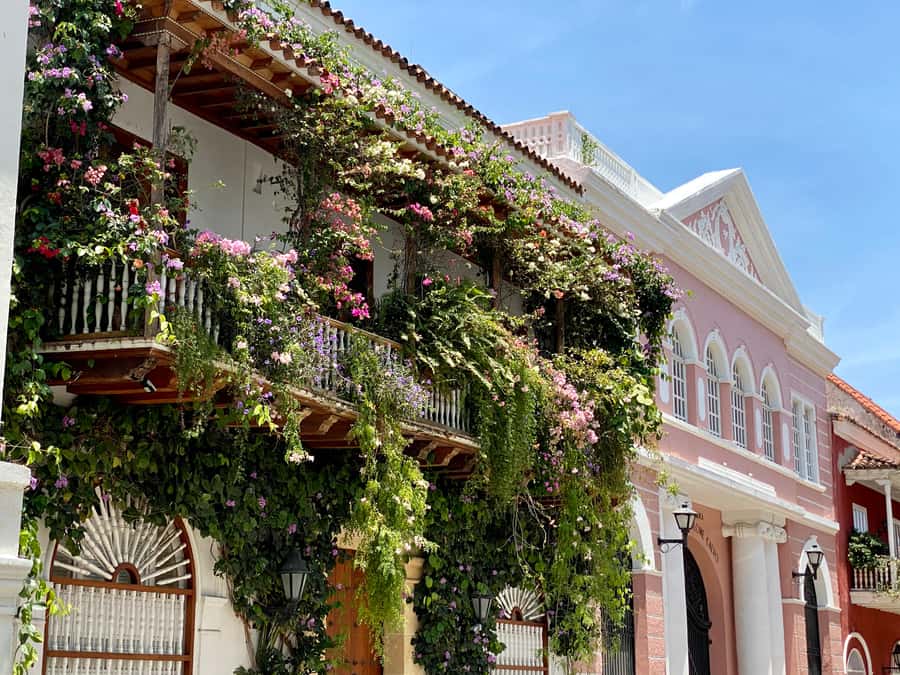Cartagena: History, Culture & Coffee Experience - Centenario Park and the animal break in the middle of town