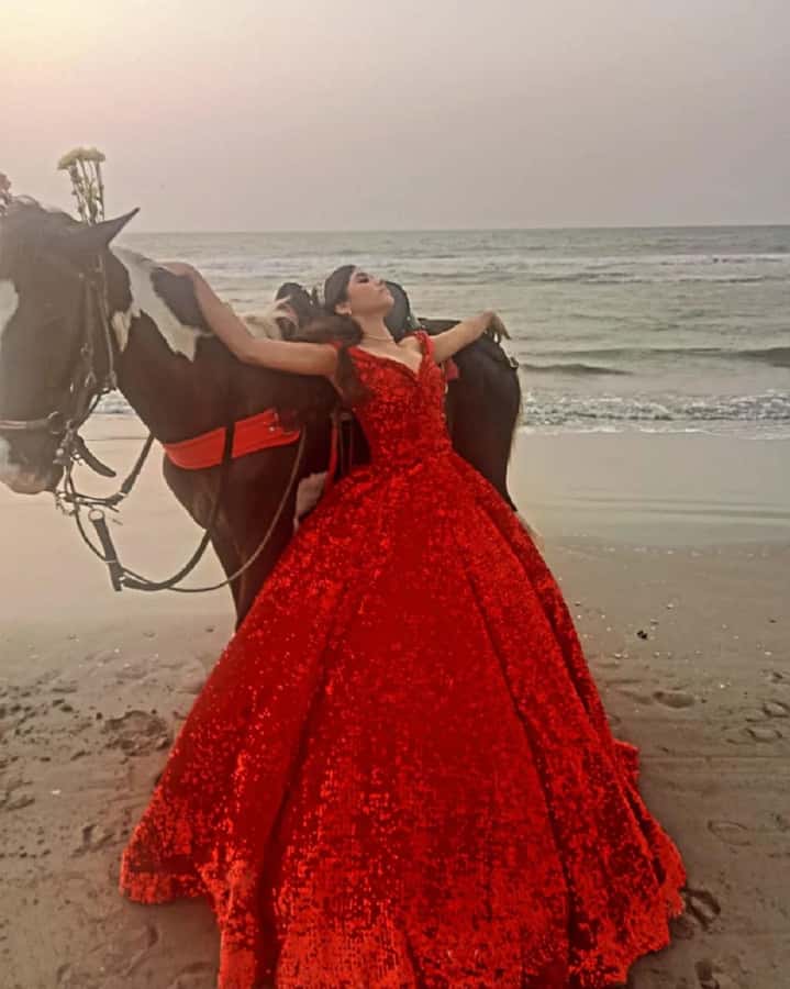 Cartagena: Horse riding on the beaches of Cartagena & PHOTOS - Quick Key Points You’ll Care About