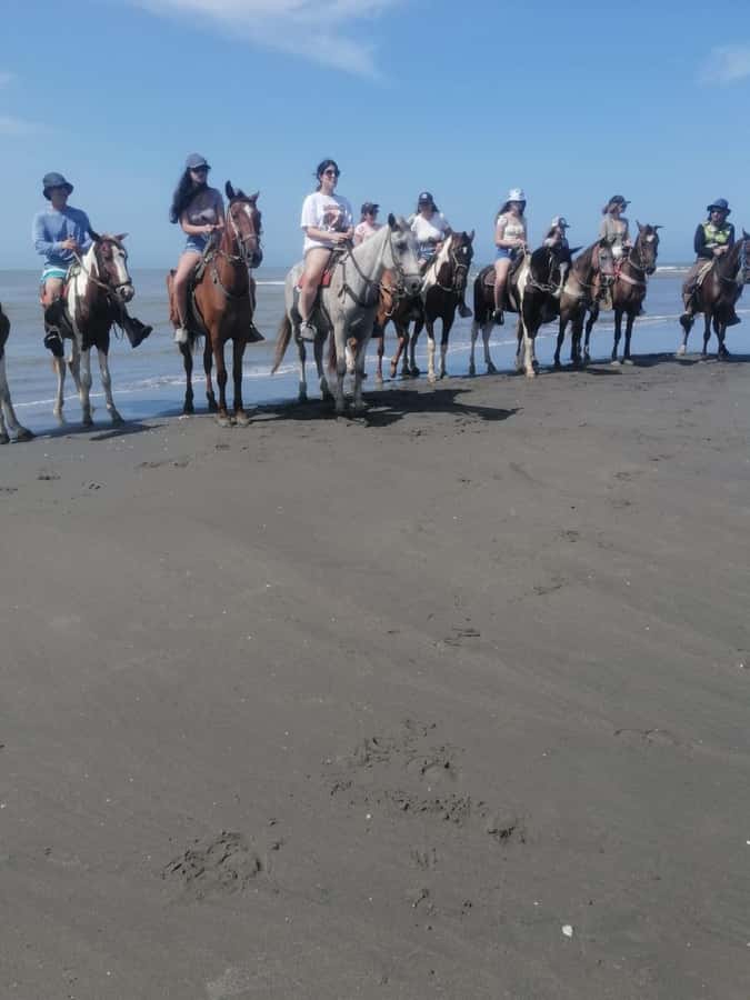 Cartagena: Horse riding on the beaches of Cartagena & PHOTOS - Getting to the Riding Beach: A Short Walk and a Quick Briefing