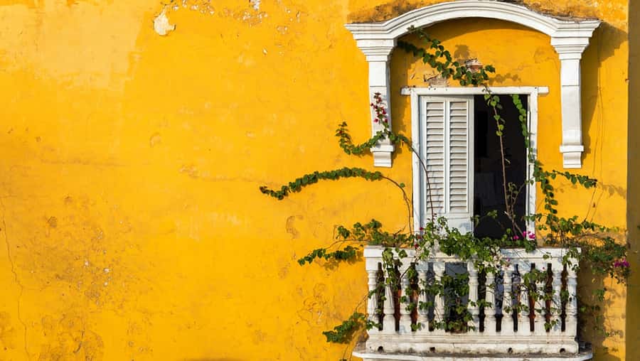 Cartagena Instagram Mobile Workshop: Scenic and Trendy Shots - Walking Route: Finding Photo Spots in Getsemaní