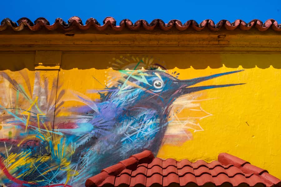 Cartagena Instagram Mobile Workshop: Scenic and Trendy Shots - Price and What You Actually Get in 2 Hours