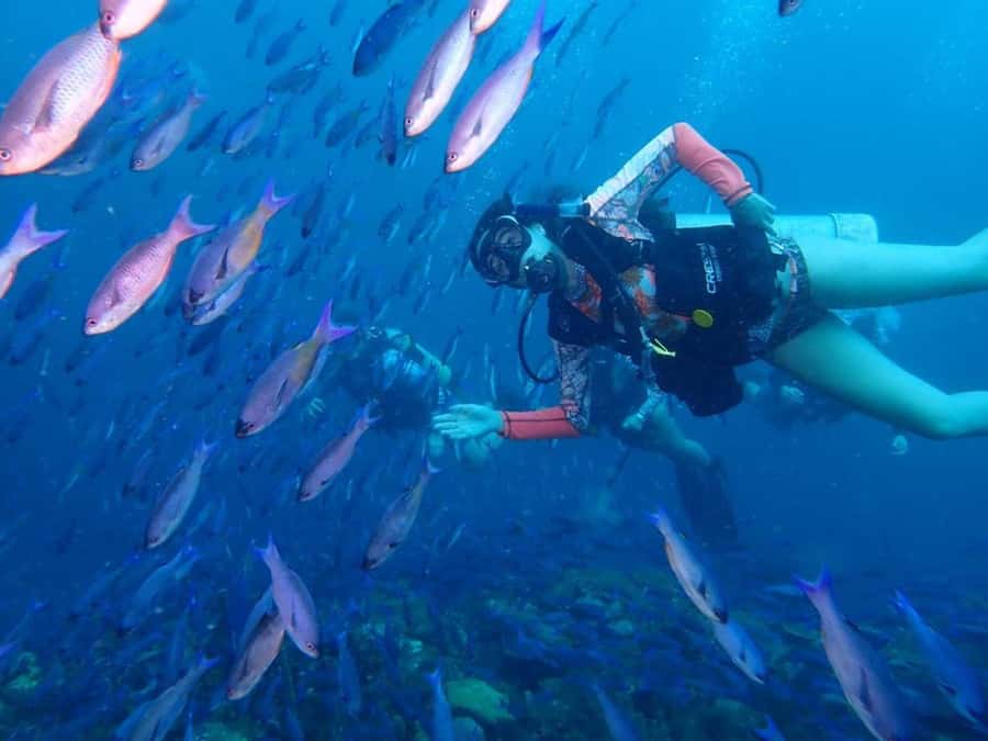 Cartagena: PADI DISCOVER SCUBA / MINICURSO DE BUCEO - Price and value: what your $168 really covers