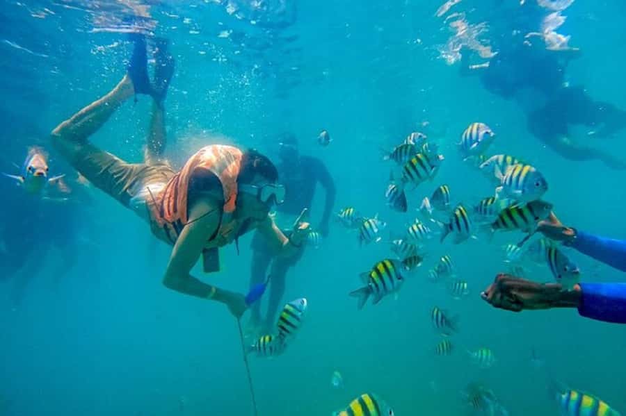 Cartagena: Raccoon Island Snorkel, Mangrove, Photos & Lunch - Key things to know before you go