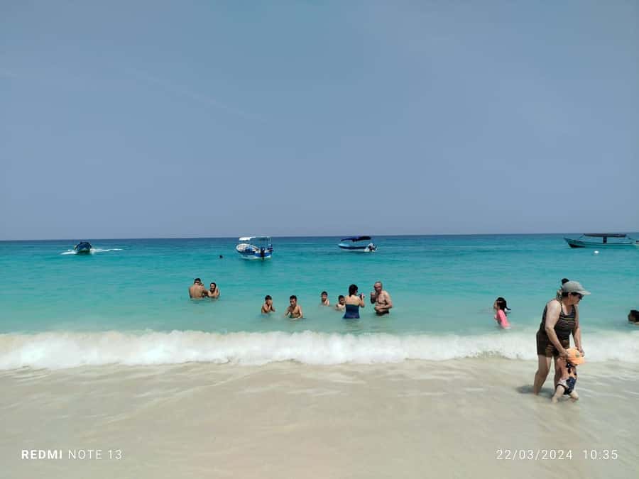 Cartagena: Raccoon Island Snorkel, Mangrove, Photos & Lunch - Should You Book Cartagena’s Raccoon Island Snorkel and Mangrove Tour?