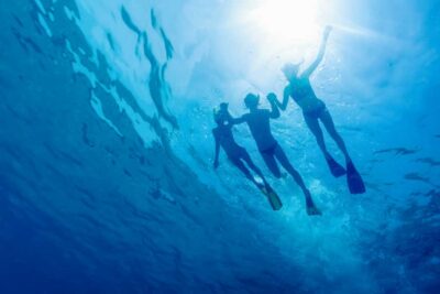 Cartagena: Snorkel, Mangroves and Playa Blanca Tour - Key things to know before you go