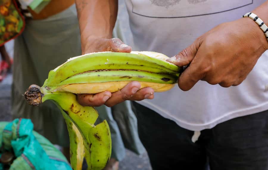 Cartagena: Street Food Walking Tour - The fried food festival story: why the crunch matters in Cartagena