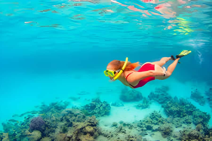 Cartagena: Tour to Playa Tranquila with Snorkeling + Luminous Plankton and Parasol - Key Things You’ll Notice on This Tour
