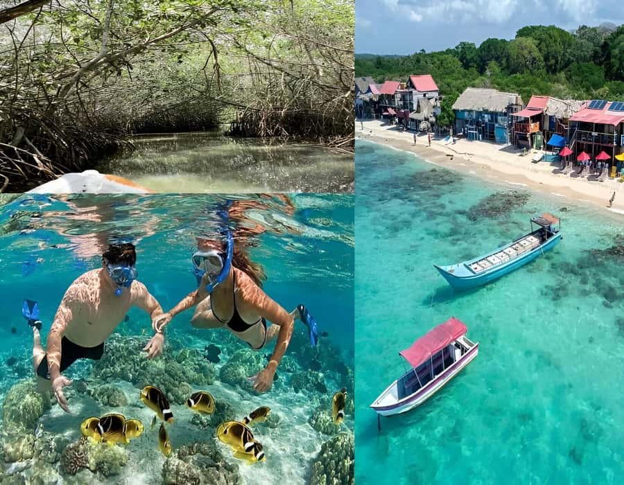 Cartagena: Visit 4 islands in a speedboat + plankton! - A 4-island speedboat day plus luminous plankton