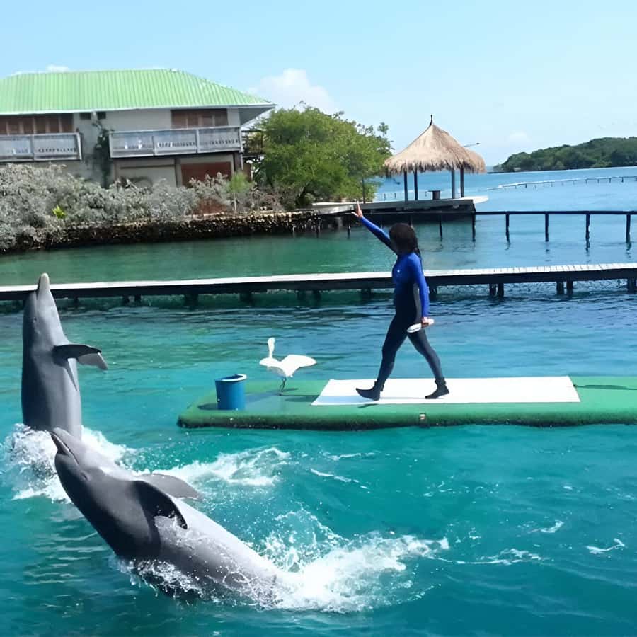 Cartagena: Visit 4 islands in a speedboat + plankton! - Cholón beach: 1 hour to reset (and manage spending)