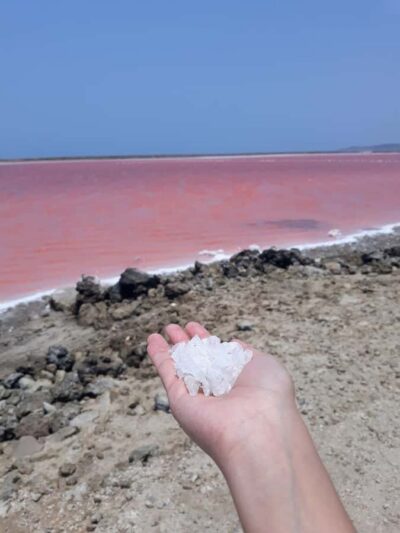 CARTAGENA: Volcan del totumo, Galerazamba and La Boquilla Mangrove Route - Totumo mud volcano: medicinal mud fun, plus what the setup is really like