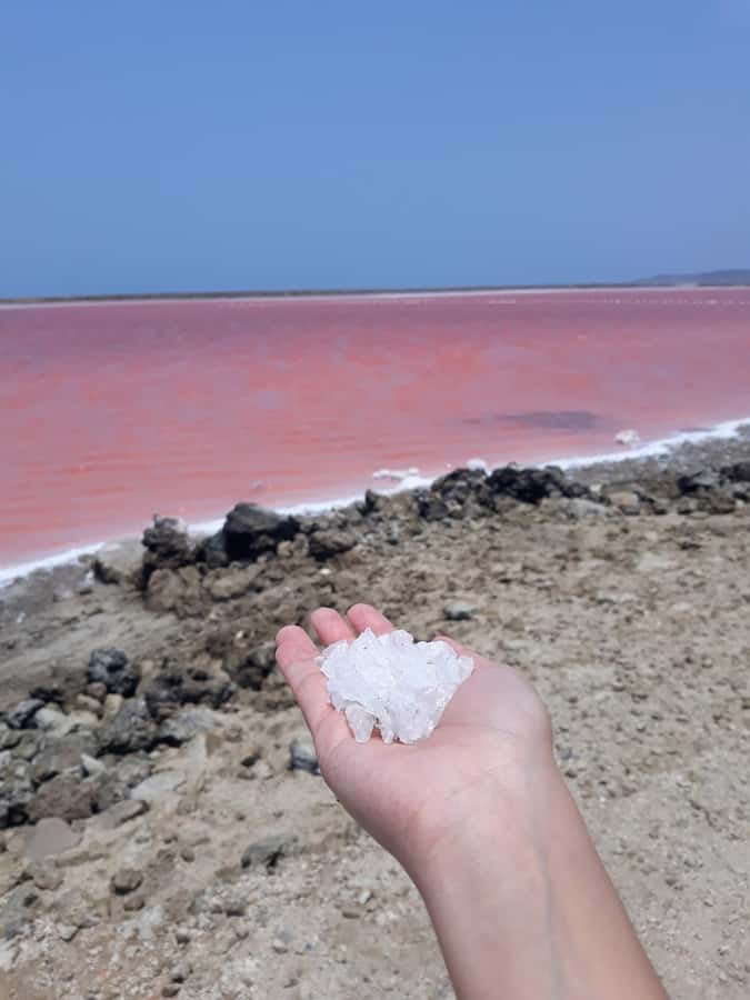 CARTAGENA: Volcan del totumo, Galerazamba and La Boquilla Mangrove Route - Totumo mud volcano: medicinal mud fun, plus what the setup is really like