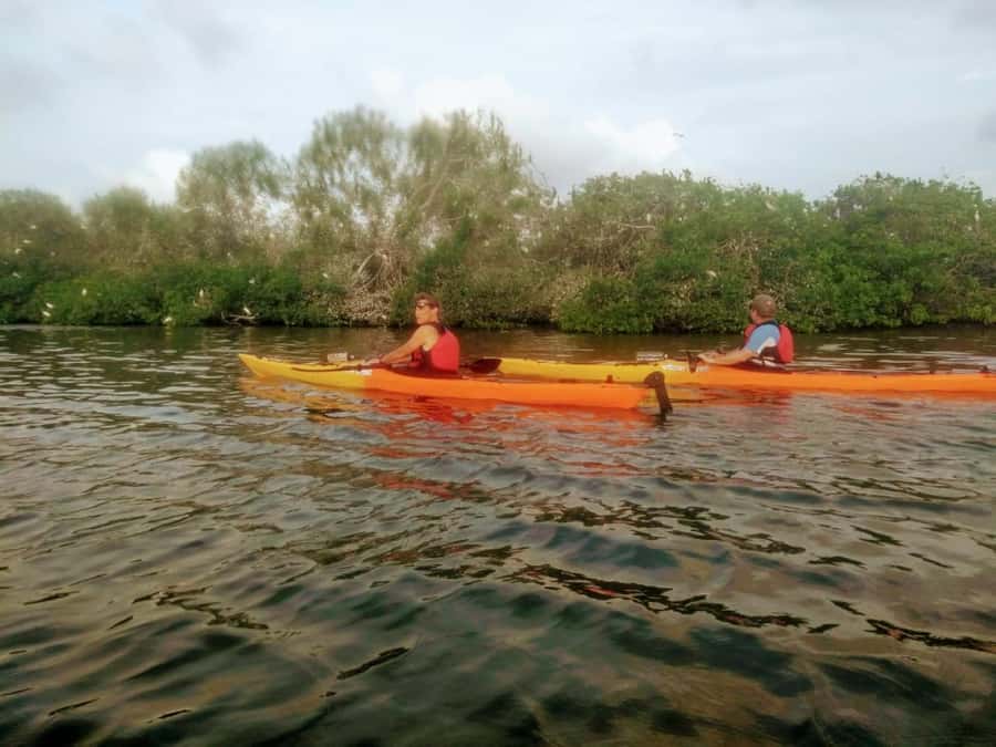 Cartagena: Walled City Kayak Tour - FAQ