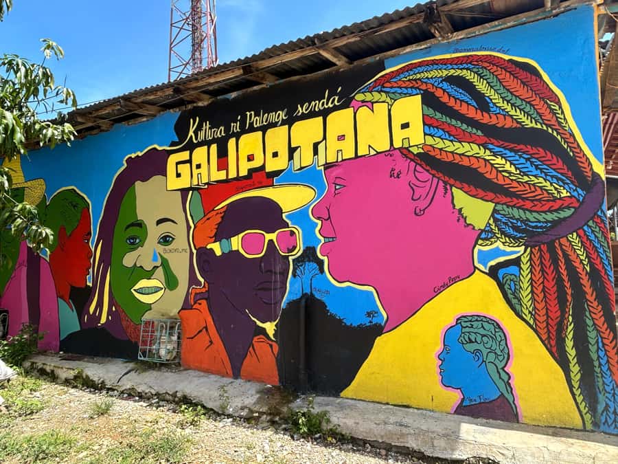 Cartagena:San Basilio de Palenque private DayTrip with Lunch - Key Points You’ll Care About
