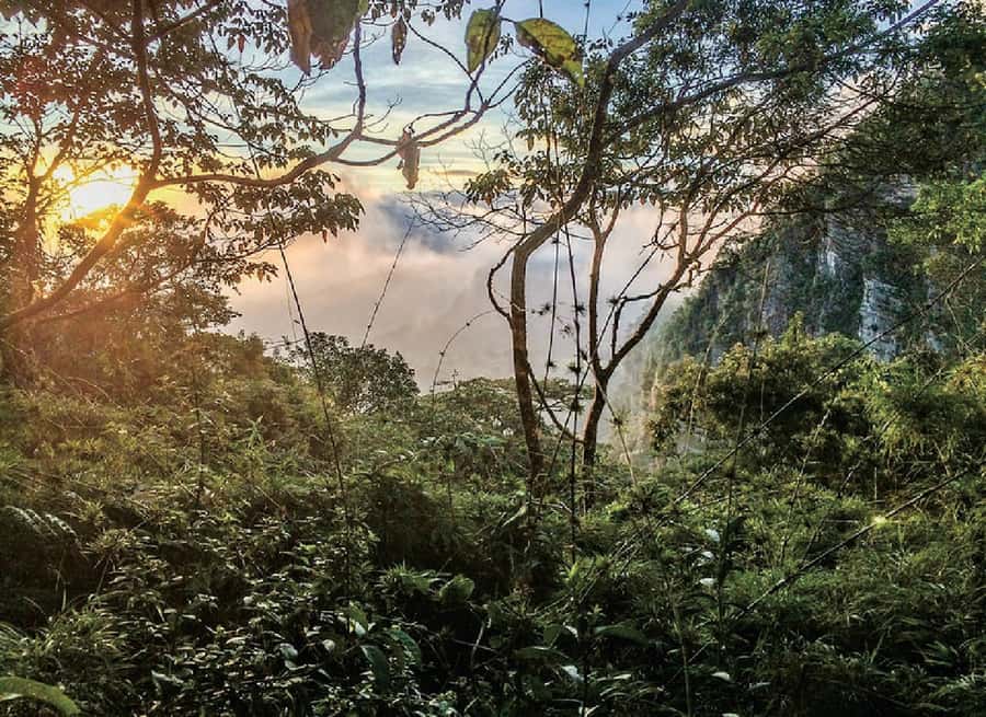 Chicaque Full-Day Trip from Bogotá - The trail network: nine paths, streams, oak forest, and viewpoints