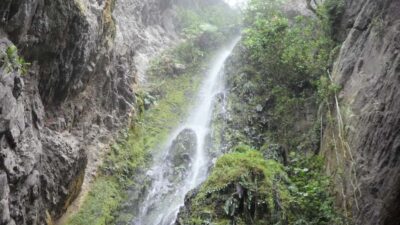 Chicaque Full-Day Trip from Bogotá - Timing and pacing: 8 hours total, about 5 hours hiking