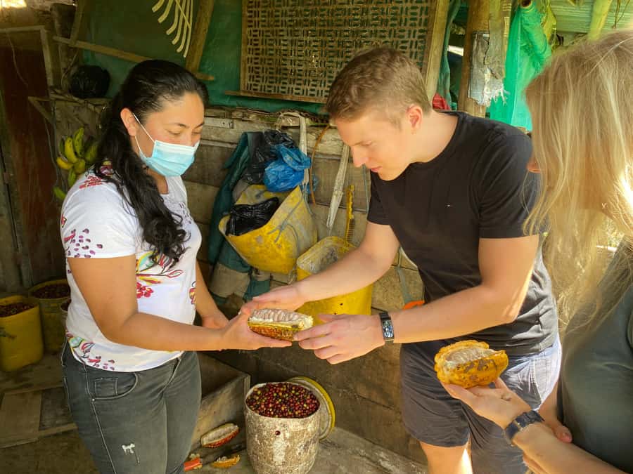 Chocolate tour near the Medellín - Cocoa-to-bar education you can feel in your hands