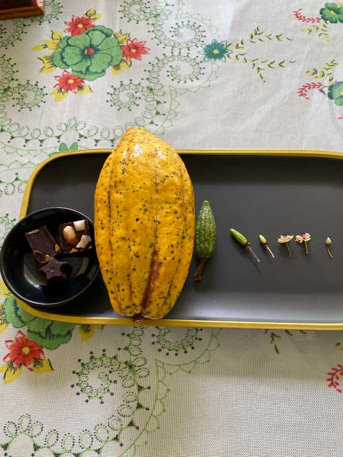 Chocolate tour near the Medellín - From fermenting to molding: the hands-on chocolate process