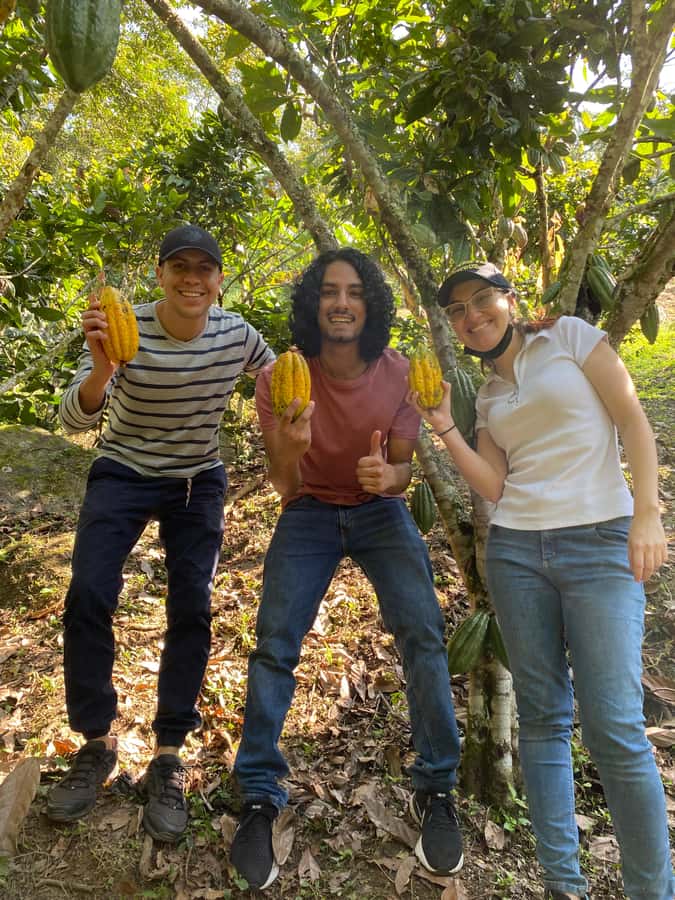 Chocolate tour near the Medellín - Tastings with real comparisons: hot chocolate, nibs, and cocoa paste