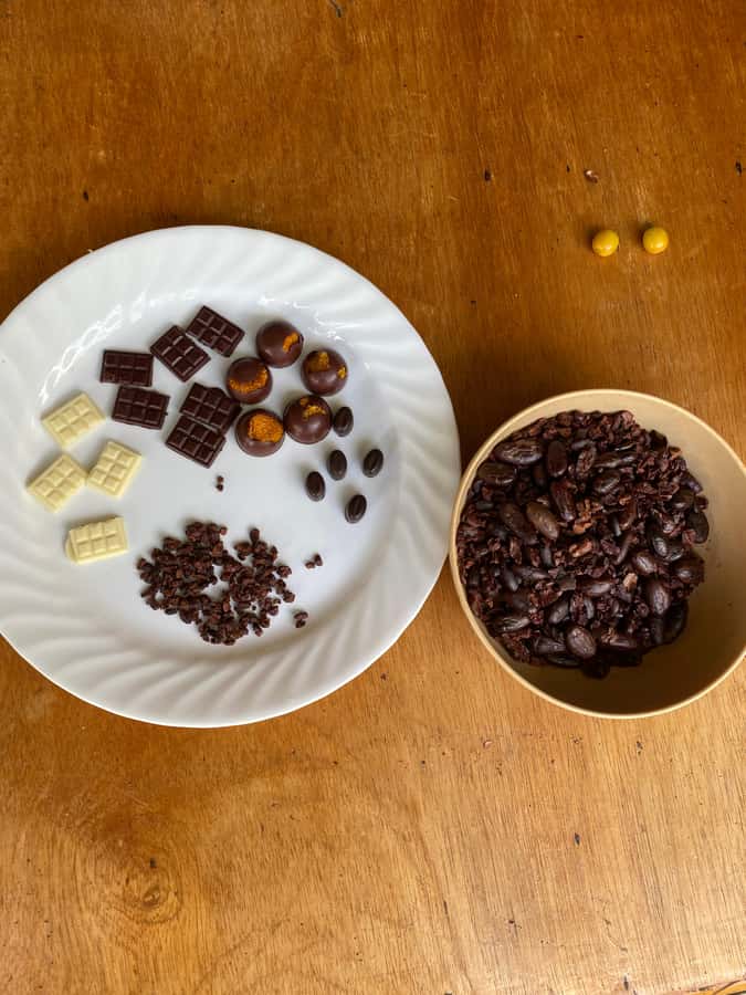 Chocolate tour near the Medellín - Farm life beyond cacao: coffee, avocado, yuca, and more