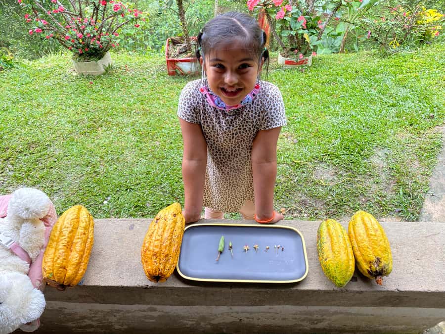 Chocolate tour near the Medellín - Price and value: is $126 a good deal for this 6-hour day?