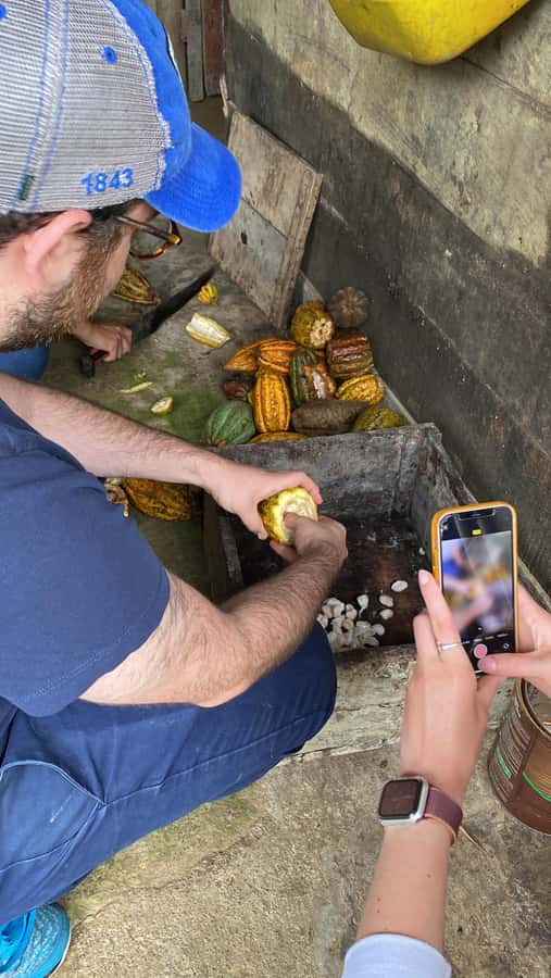 Chocolate tour near the Medellín - Getting out of Medellín: pickups, ride comfort, and farm-ready timing