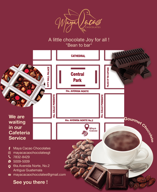 Chocolate workshop; gastronomic experience of cocoa. - Instructor Language, Translation Reality, and How to Make It Work