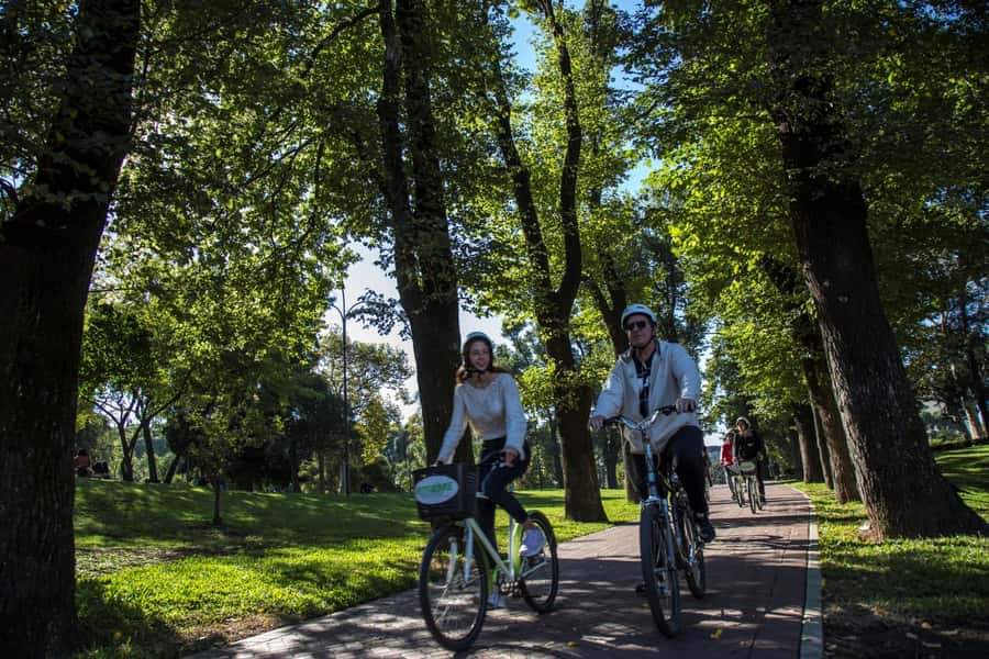 City Bike Tour in Palermo and Recoleta - Bosques de Palermo and the Rosedal Rose Garden by Bike