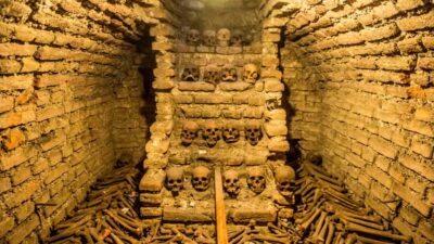 City Tour 1 day Lima - Historic center highlights: squares, palaces, and the Cathedral Basilica