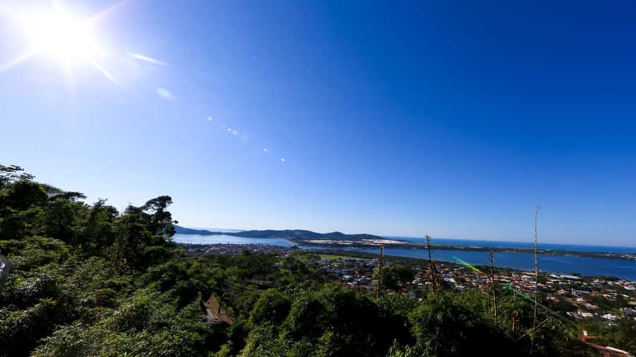City Tour Florianópolis - Proyecto Tamar: the sea turtle moment your photos won’t capture