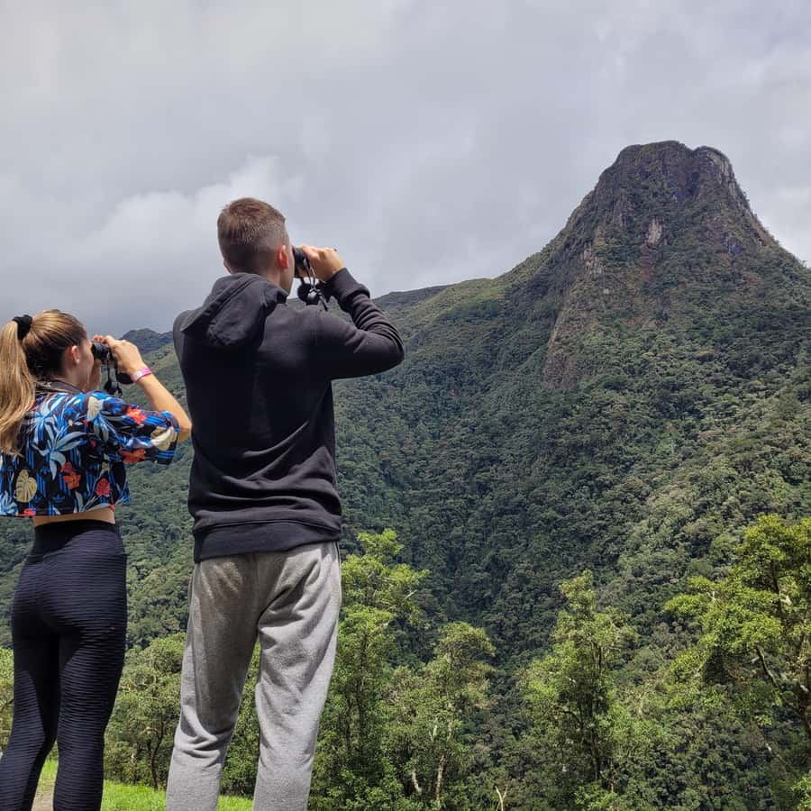 Cocora Valley: Route of the Hummingbirds + breakfast & lunch - Key Things You’ll Notice on This Cocora Birding Route