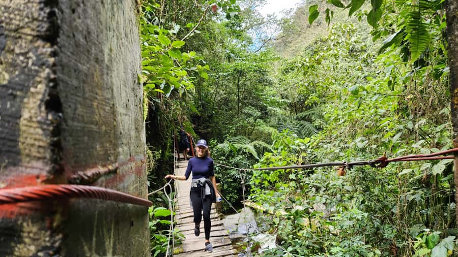 Cocora Valley: Route of the Hummingbirds + breakfast & lunch - Cocora Valley Hiking: 7 km by the River, Six Bridges, Then a Hummingbird House