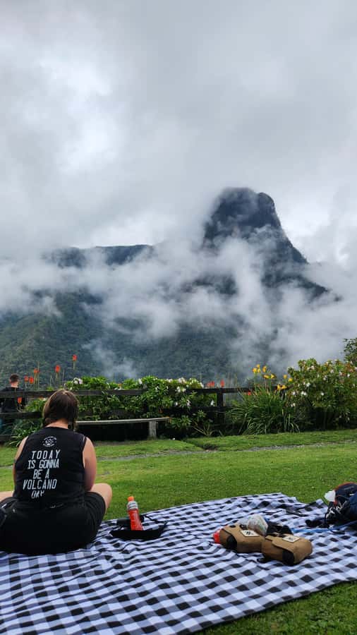 Cocora Valley: Route of the Hummingbirds + breakfast & lunch - The Descent: 4.5 km of Birding Through Palm Trees