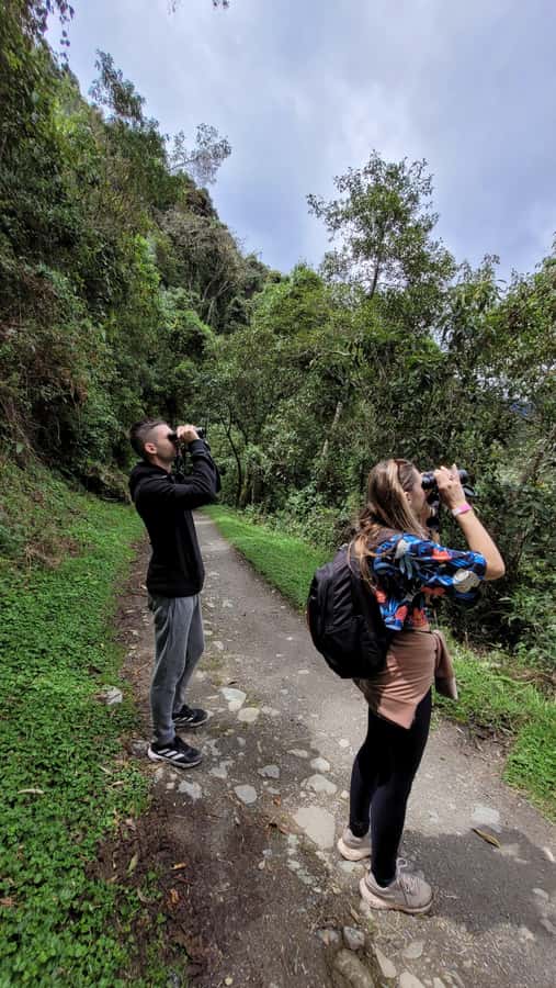 Cocora Valley: Route of the Hummingbirds + breakfast & lunch - How Long Is the Whole Day, Really?