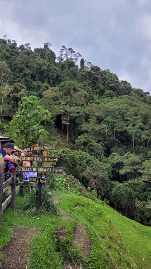 Cocora Valley: Route of the Hummingbirds + breakfast & lunch - Gear and Guide Quality: This Is Where Value Really Shows Up