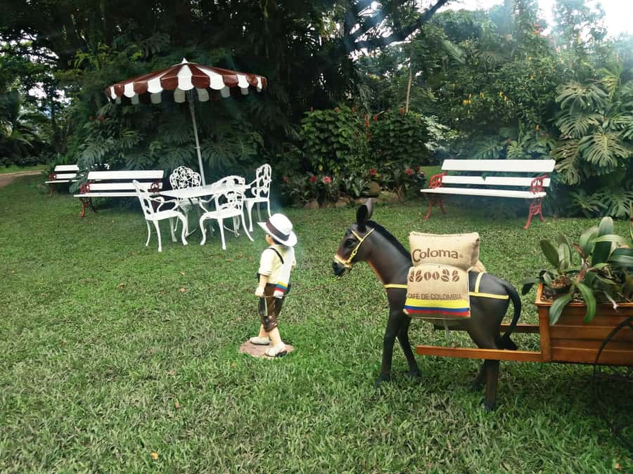 Coffee Experience: Hacienda Coloma Tour from Bogotá - Why the Hacienda Coloma Coffee Tour Feels Like a Real Change of Pace