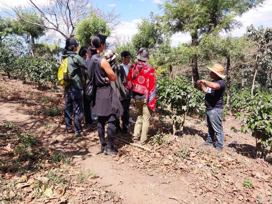Coffee farm experience - Why This $55 Price Is Fair (Especially for Growers)