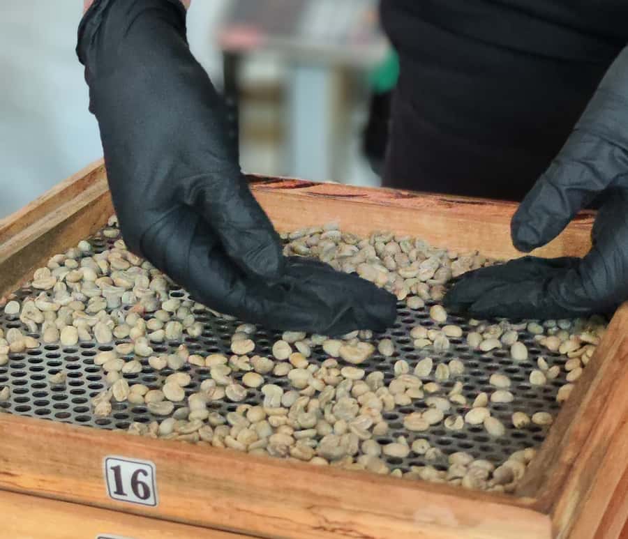 Coffee Tasting Experience in Cali - The Factory Visit Near Mercado Alameda: What You See and Why It Matters