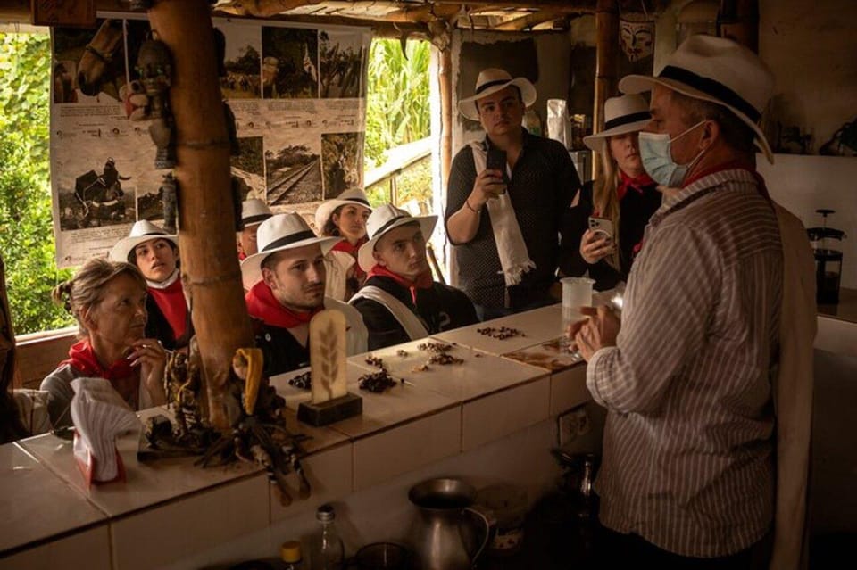 Coffee Tour from Medellin with Lunch and Coffee Tasting - Who this tour suits best