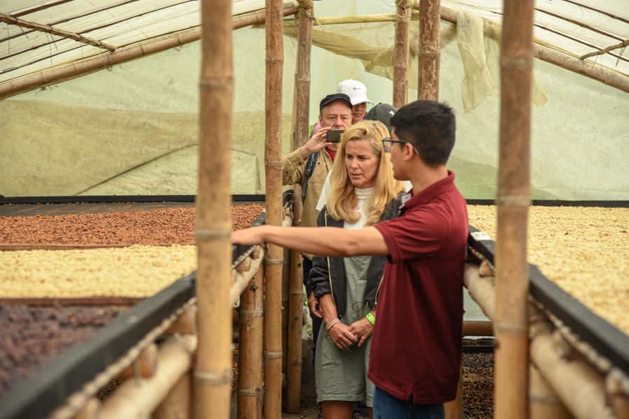 Coffee Tour Salento-Ocaso Farm- English Tour - Roasting types and the extraction principles that actually matter