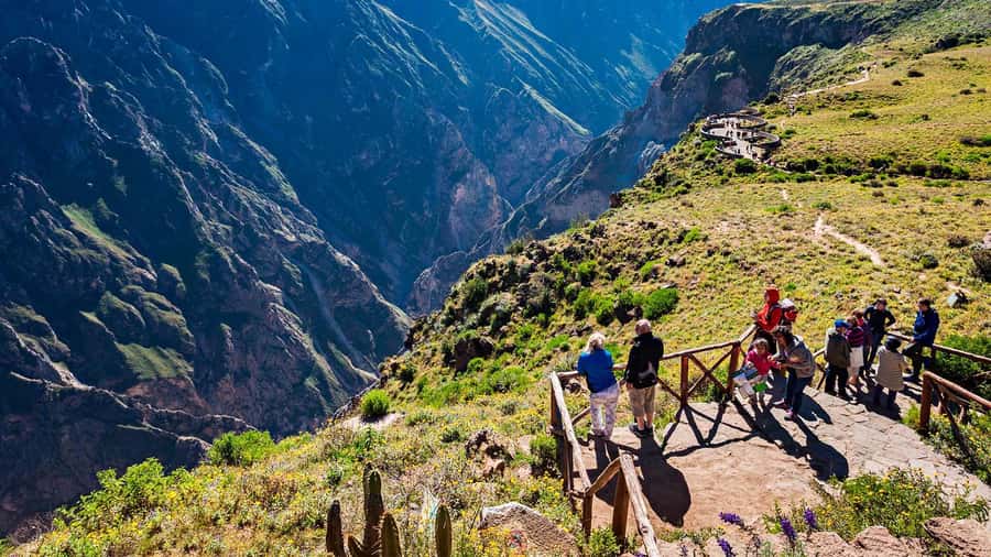 Colca Canyon: 2-Day Tour from Arequipa to Puno - Night in Chivay: why an overnight matters for altitude and for your mood