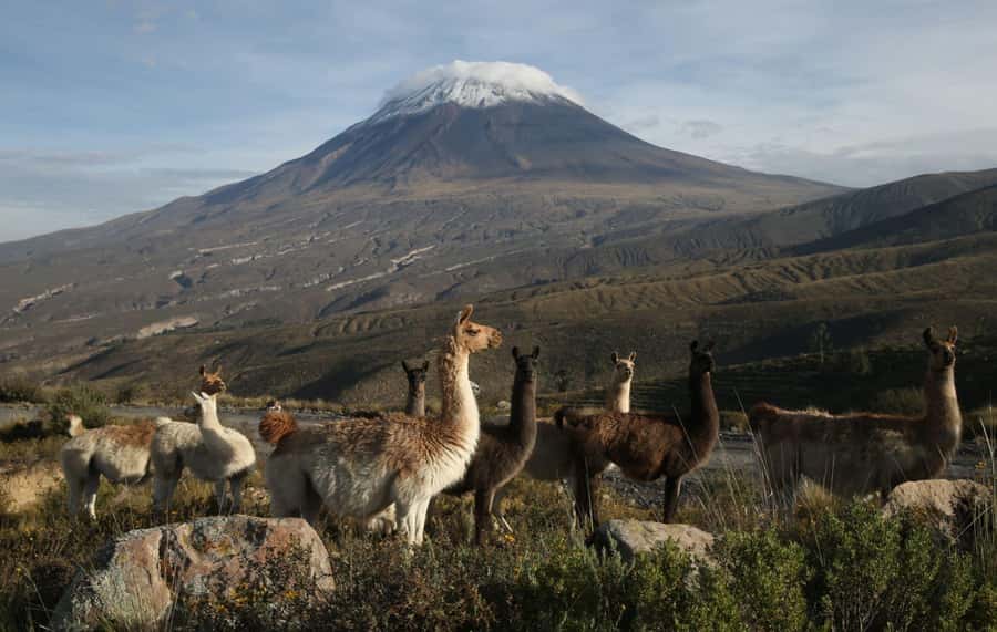 COLCA CANYON FULL DAY TOURS - A 3:30am Departure That Gets You to Cruz del Condor