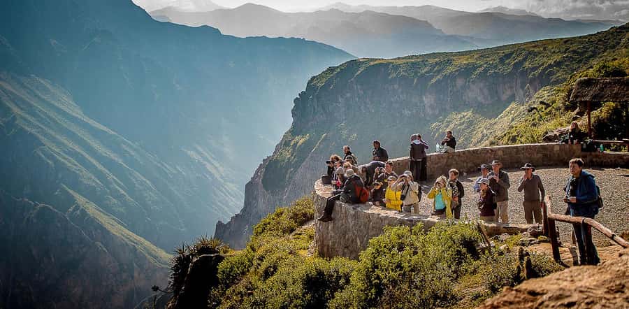 COLCA CANYON FULL DAY TOURS - Alpacas at Bofedales de Toccra and Vicuñas Near Pampa Cañahuas
