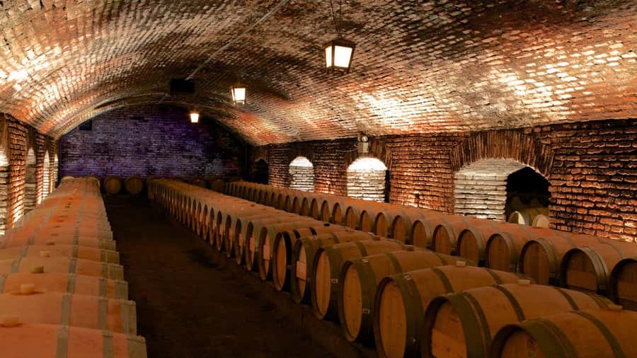Concha y Toro Wine Tour with Dinner at the Winery - Key Things That Make This Tour Worth Your Time