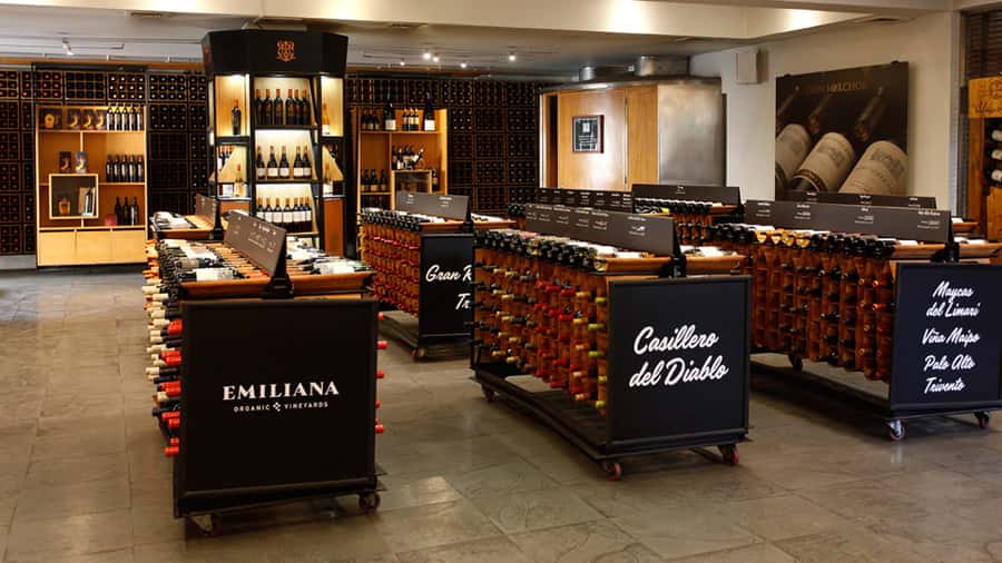 Concha y Toro Wine Tour with Dinner at the Winery - Getting Picked Up: Save Your Energy for the Estate
