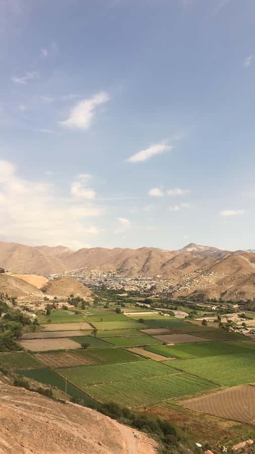 Congata Rover,3 hours bike ride tour in arequipa - Gear That Actually Makes a Difference: Helmets, Gloves, and Bike Condition
