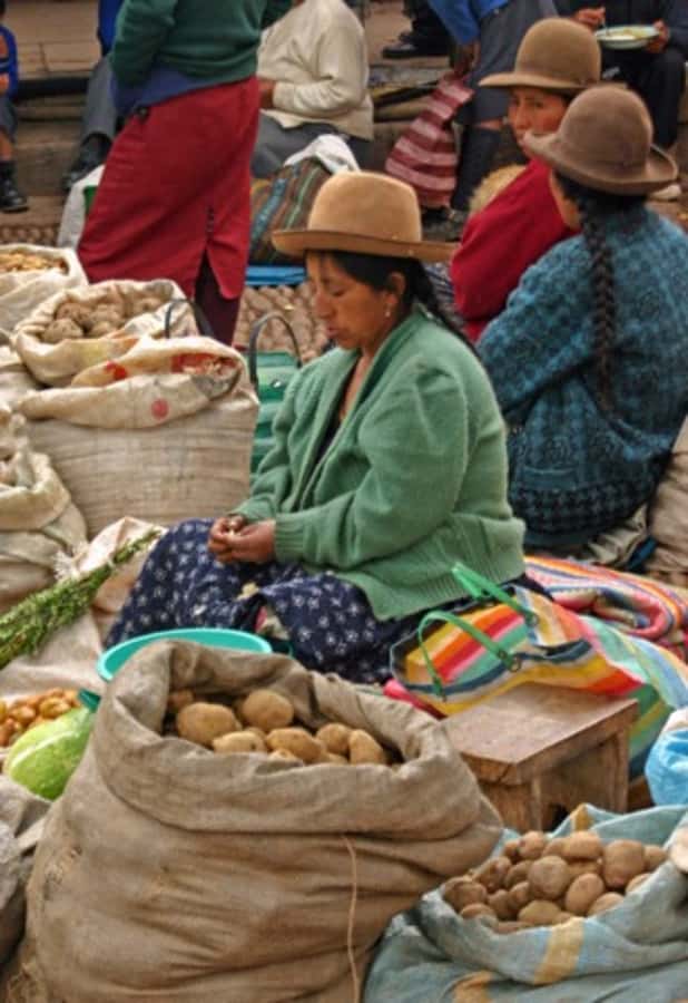 Cusco: 3-Hour Peruvian Cooking Class - ChocoMuseo and Plaza Regocijo: where this class starts