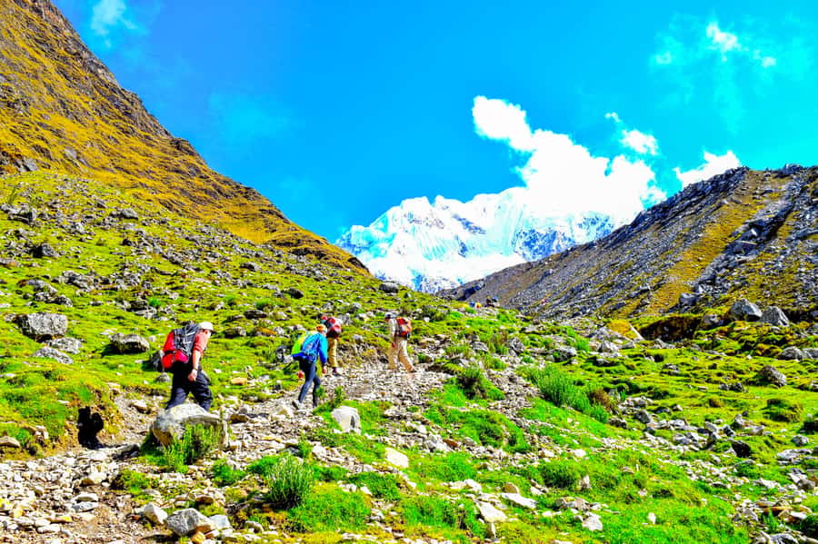 Cusco: 5-Day Salkantay Ultimate Trek to Machu Picchu - Key things you should know