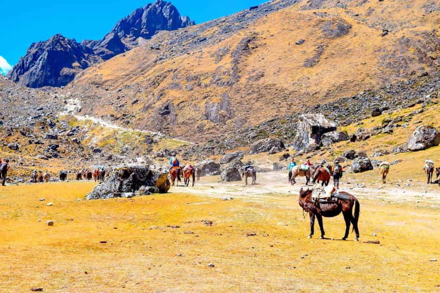 Cusco: 5-Day Salkantay Ultimate Trek to Machu Picchu - Day 3: Cloud forest to Playa Sahuayaco and Lucmabamba coffee life